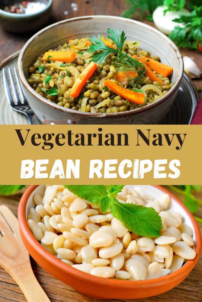 Vegetarian Navy Bean Recipes 