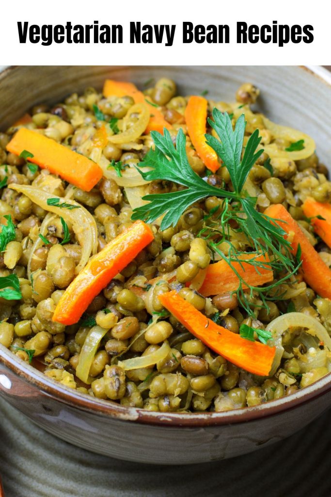 Vegetarian Navy Bean Recipes